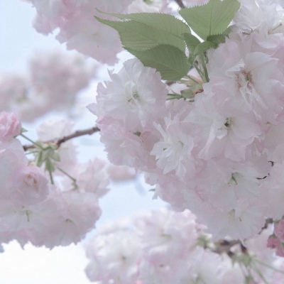 武穴福瑞交流群